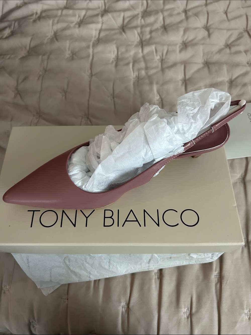 NWB Tony Bianco Dusty Rose Pointed Slingback Mules